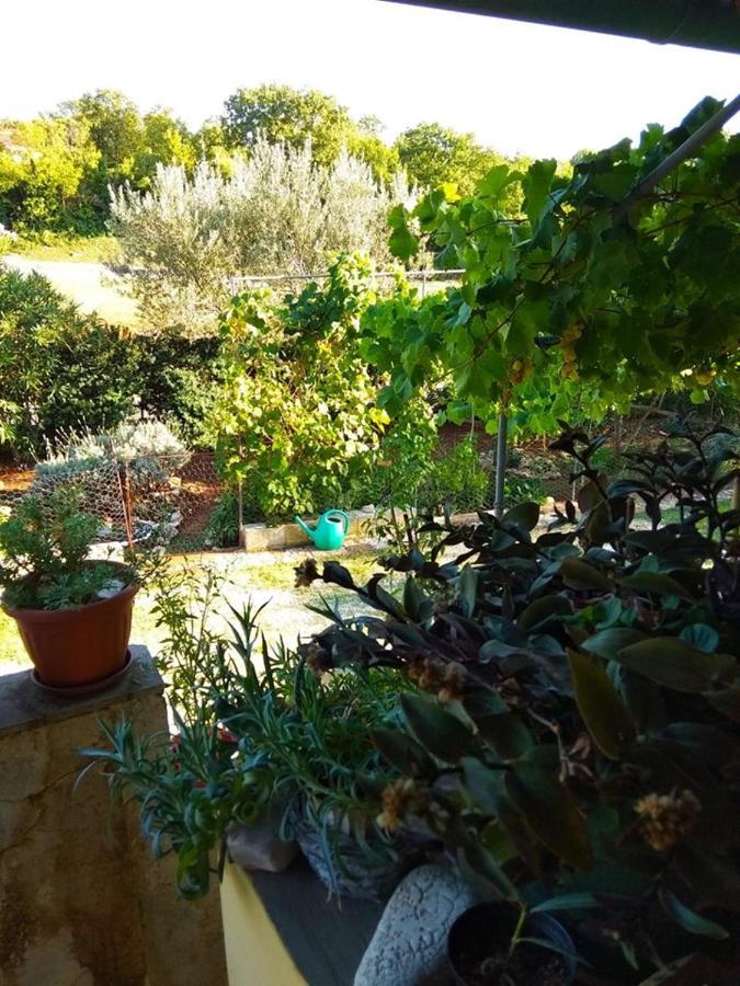 Apartman Garma Rovinj Exteriér fotografie